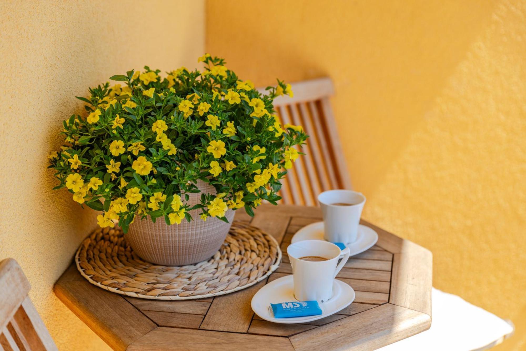 Apart Hotel M S Katunjanin Χέρτσεγκ Νόβι Εξωτερικό φωτογραφία